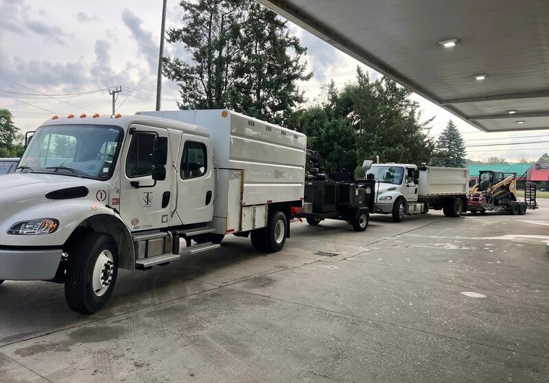 Trees and Co. fleet — chip truck, dump trailer, skid steer, ready for a lot clearing job