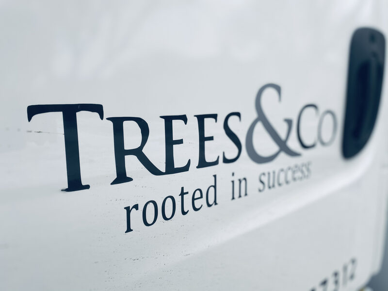 Trees and Co. truck door close-up showing the Rooted in Success tagline