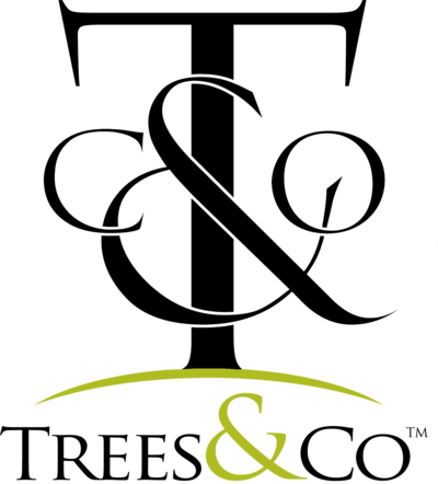 Trees & Co. — Rooted in Success