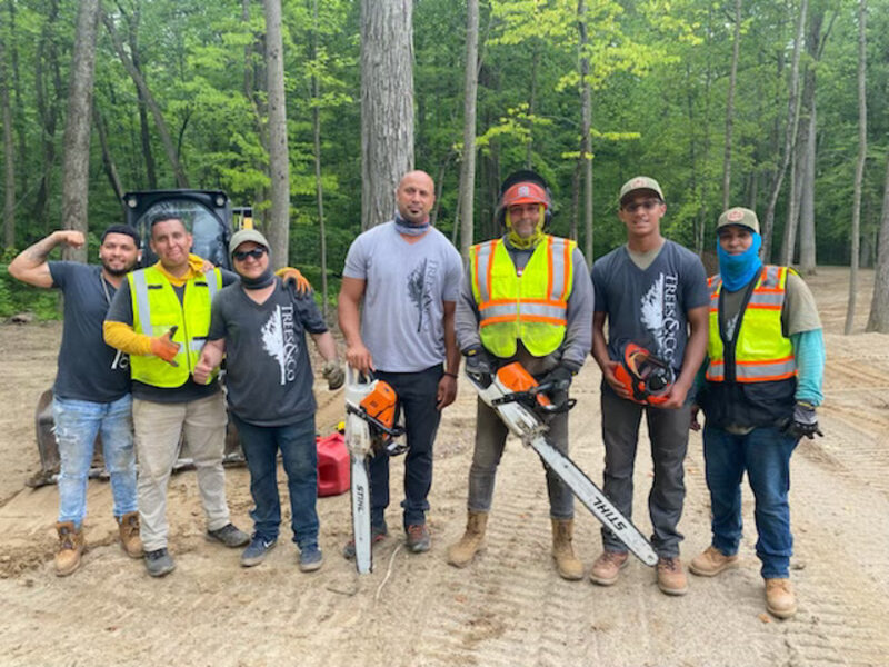 Trees and Co. crew on a Troy residential job near the Big Beaver corridor