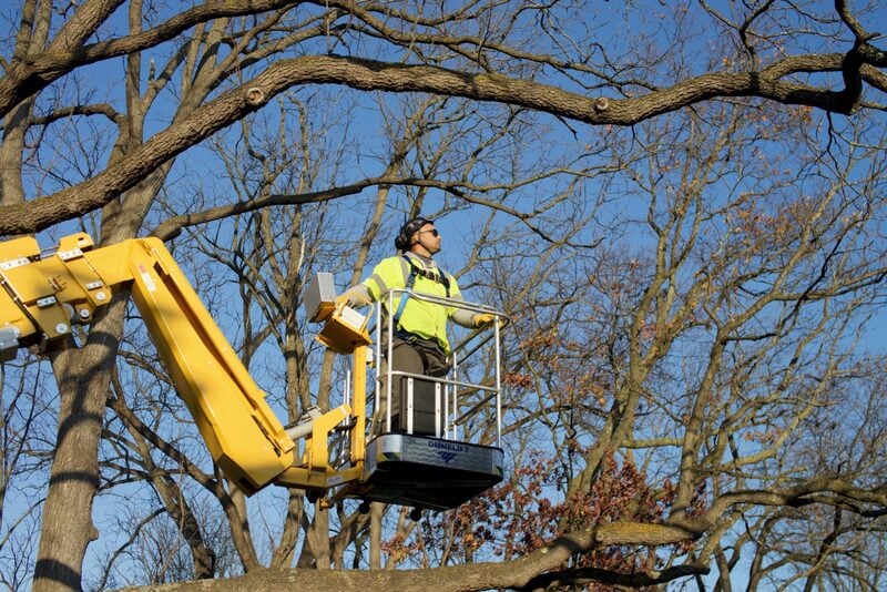 Trees and Co. crew on a Sterling Heights removal in the Plumbrook subdivision