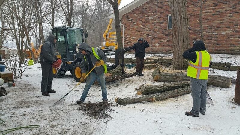 Trees and Co. crew on a Clarkston winter ice-storm cleanup
