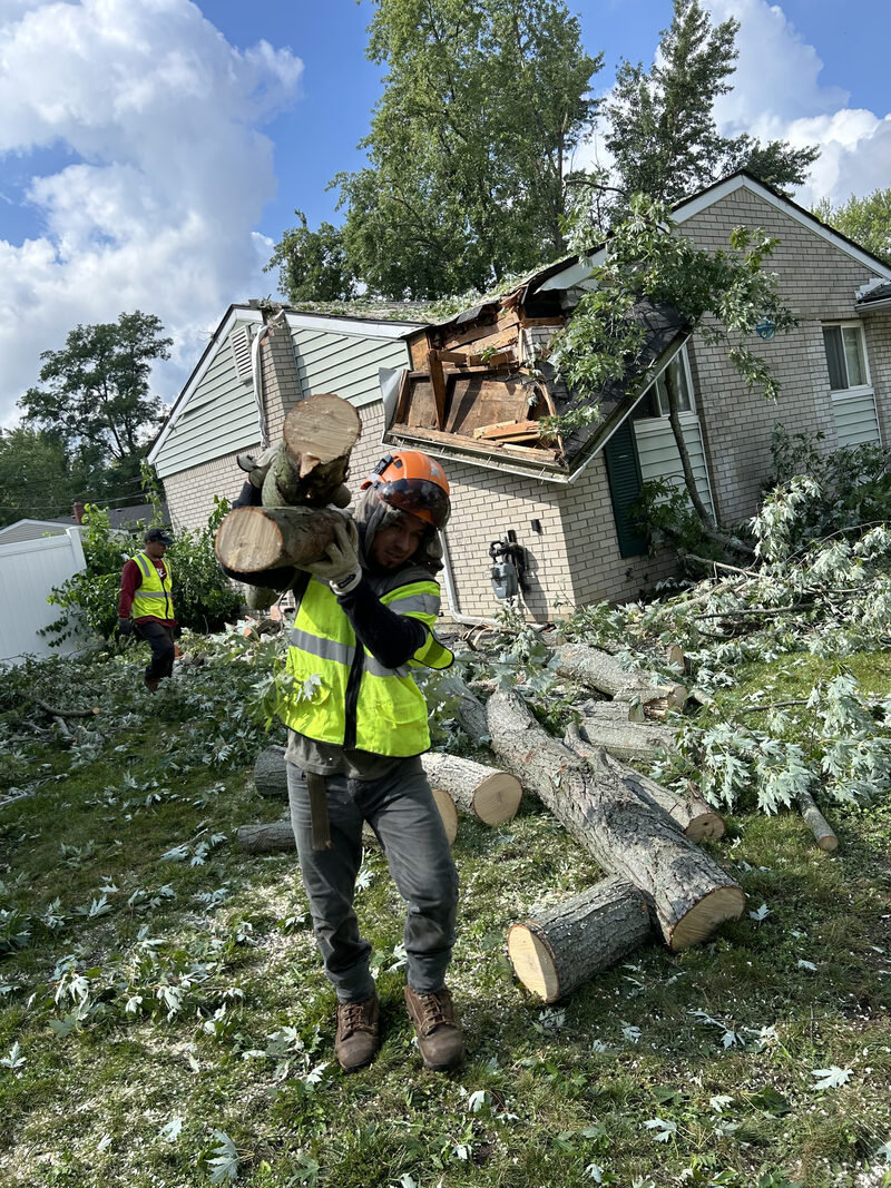 Tree through a roof after a Michigan windstorm — Trees and Co. crew on cleanup